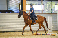 Eventing NSW - 80/95cm 3pm- Craig SJ - Sat 24.01.2026