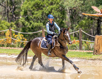 Eventing NSW -  11am - Craig XC - 25.01.2026