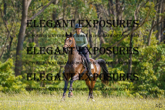 _AJG4539