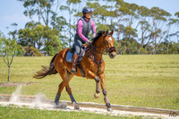 Eventing NSW - Gallop Track - 25.01.2026