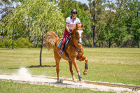 Eventing NSW - 80cm Gallop Track 11am - 25.01.2026