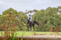 Eventing NSW - 8am - Craig XC - 26.01.2026