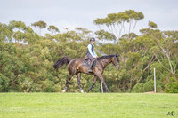 _AJG5993