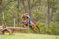 _AJG6782