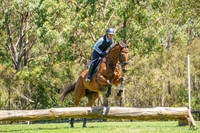 _AJG8019