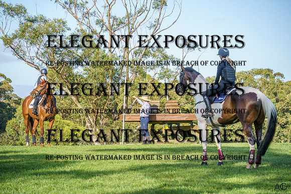 _AJG7115