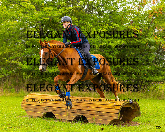 ZJD-2043