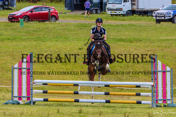KMS-0003