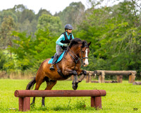 ZJD-2722
