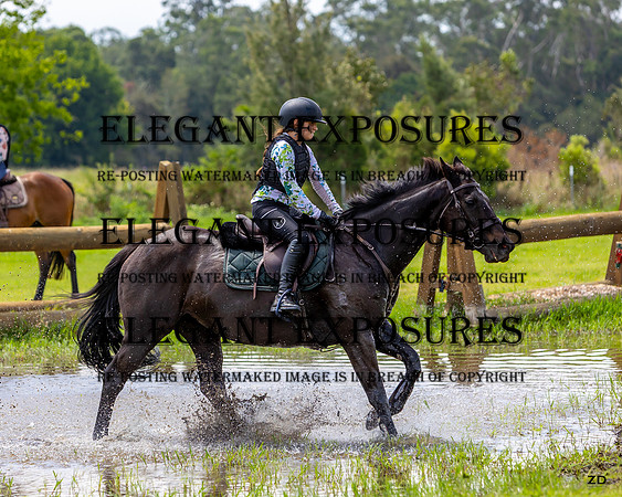 ZJD-2987