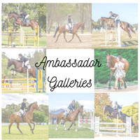 Ambassador Galleries