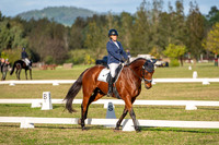 OLS_2582