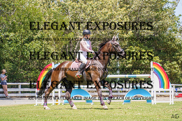 _AJG0378