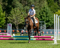 LHL(MS)-8741