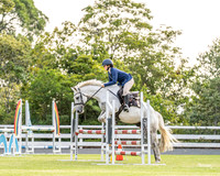 Nowra Show - SJ - 80-90cm - 06.02.2026