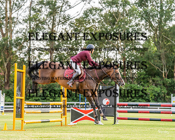 LMW-7512