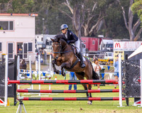 Nowra Show - SJ - 85cm - 07.02.2026