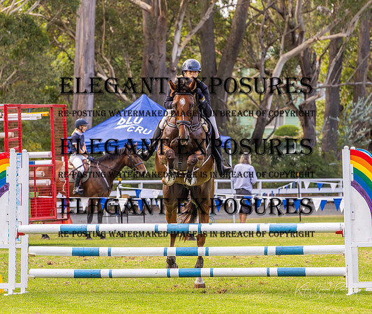 KMS-9063