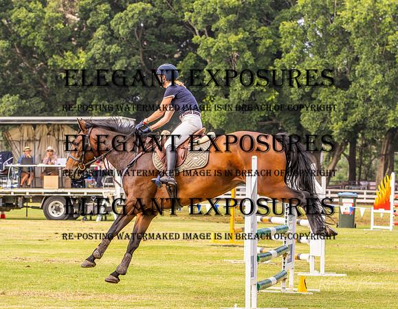 KMS-9082
