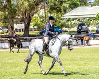 Nowra Show - Show Rings - 06.02.2026