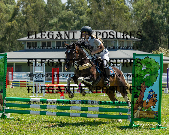 LHL(MS)-9772