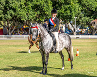 Nowra Show - Ring 2 - 07.02.2026