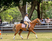 LMW-09977