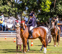 Nowra Show - Ring 1 - 07.02.2026