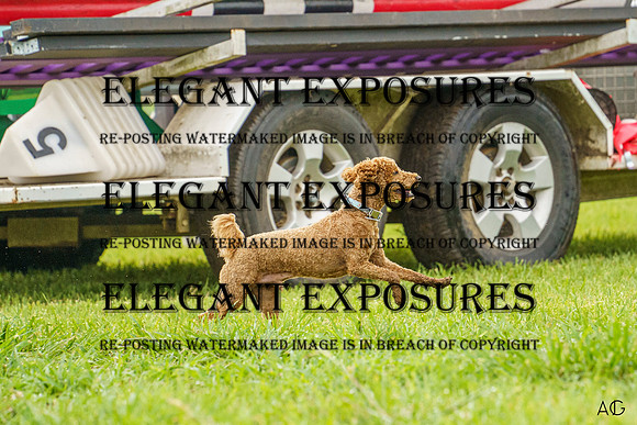 _AJG1068