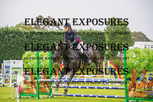 _AJG2745