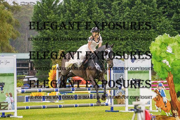 _AJG2712