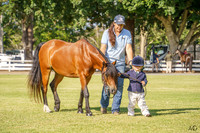 Nowra Show - Ring 1 - 06.02.2026
