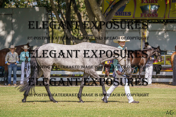 _AJG9035