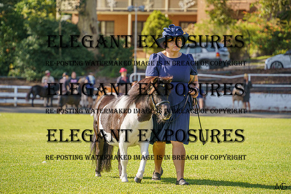 _AJG8649