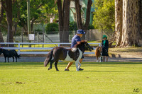 _AJG8671