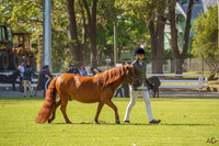 _AJG8885