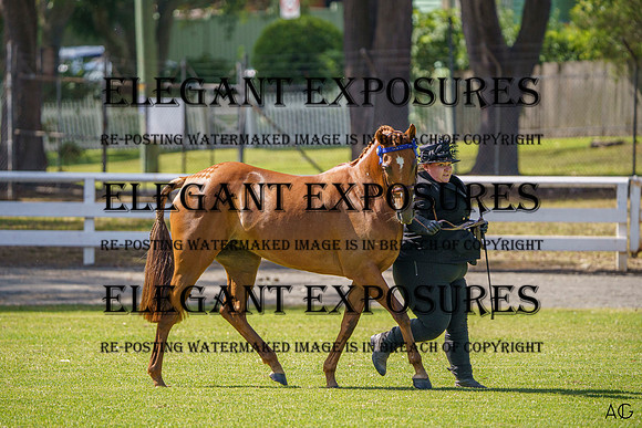 _AJG9326