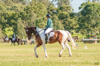 _AJG4646
