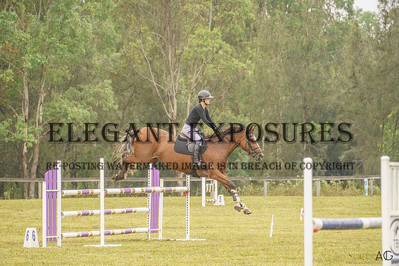 _AJG6860 (1)