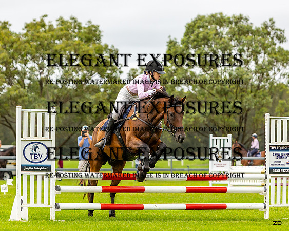 ZJD-5913