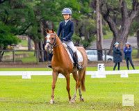KAT-16009