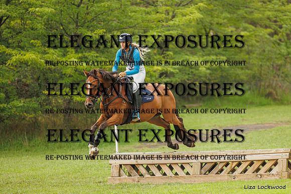 LHL_(AJG)_2242