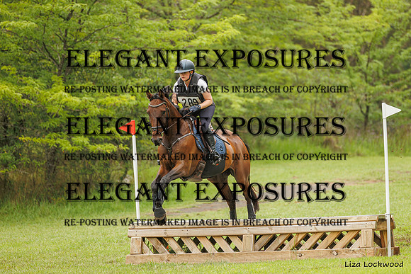 LHL_(AJG)_2298