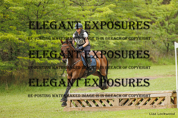LHL_(AJG)_2299