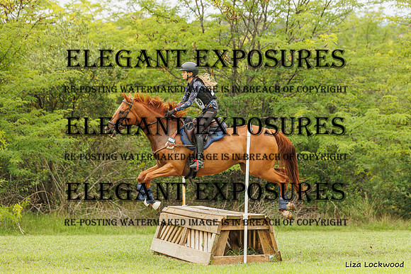 LHL_(AJG)_1655