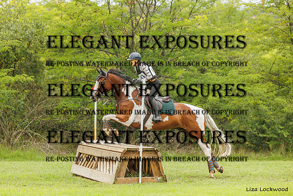 LHL_(AJG)_1717