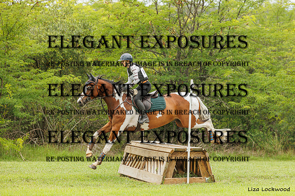 LHL_(AJG)_1719