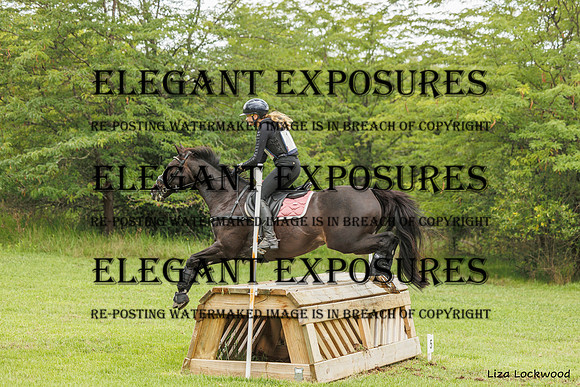 LHL_(AJG)_2203