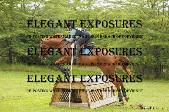 LHL_(AJG)_2235