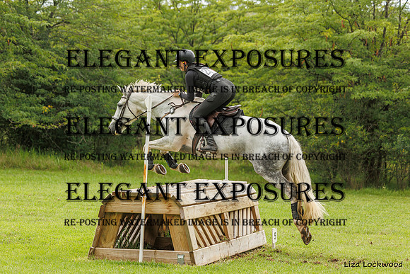 LHL_(AJG)_2273